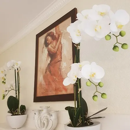 Bliss * バーデン＝バーデン